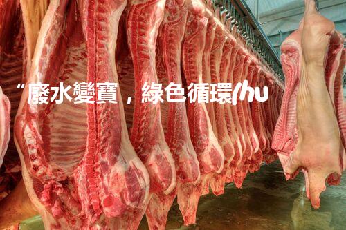 “廢水變寶，綠色循環(huán)，環(huán)保新篇章！”
